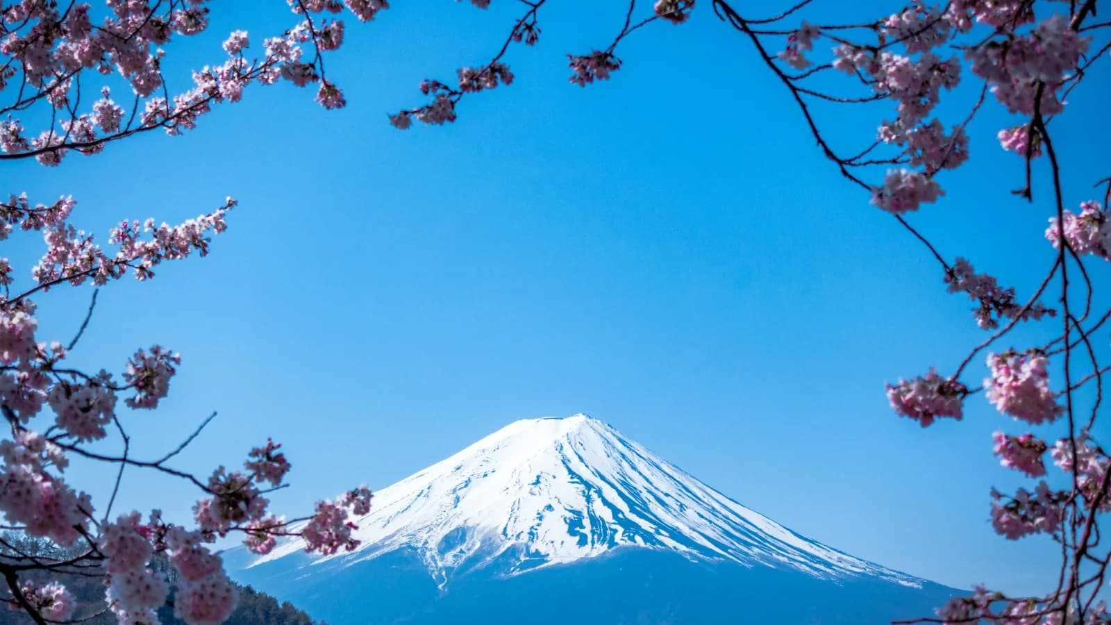 Mount Fuji rising above the Japanese landscape — the country's iconic snow-capped volcano against a clear sky